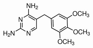 抗體素類