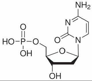 植物激素及核酸類