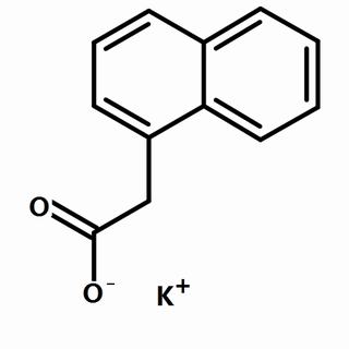 植物激素及核酸類(lèi)