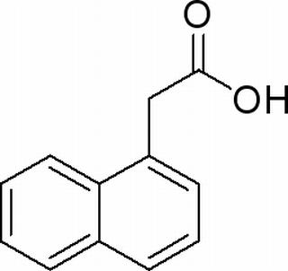 植物激素及核酸類