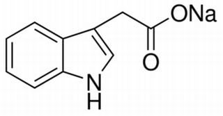 植物激素及核酸類