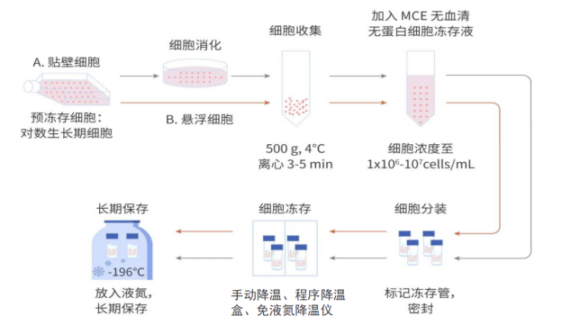 細胞凍存步驟